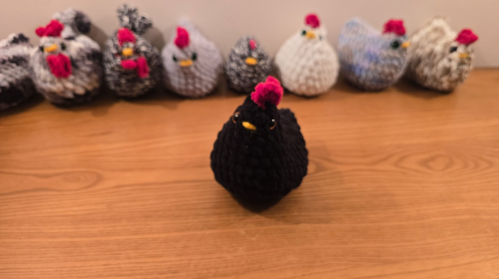 Chimkin Plush (Black Australorp)