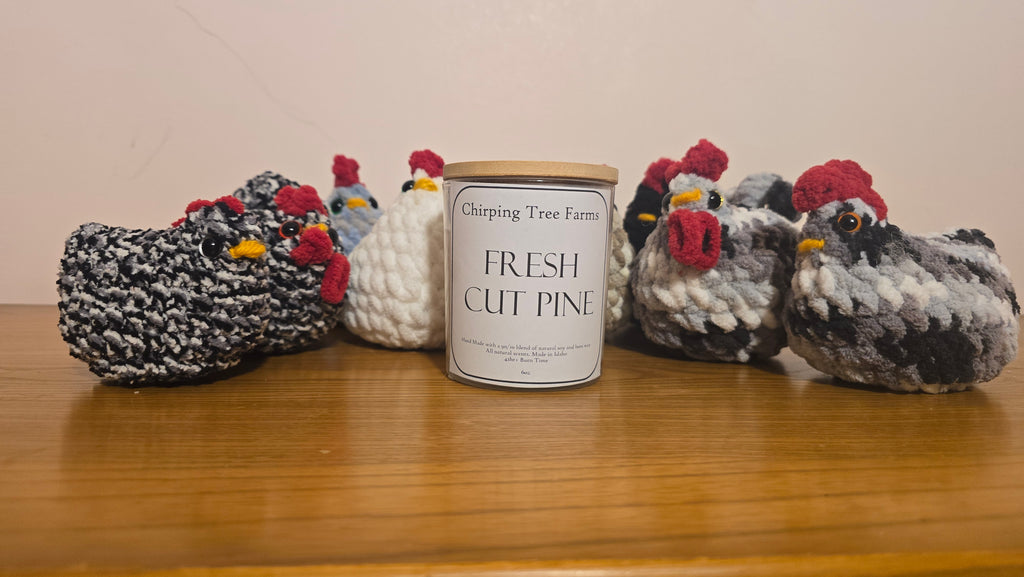 Wood Wick Jar Candle (6oz)