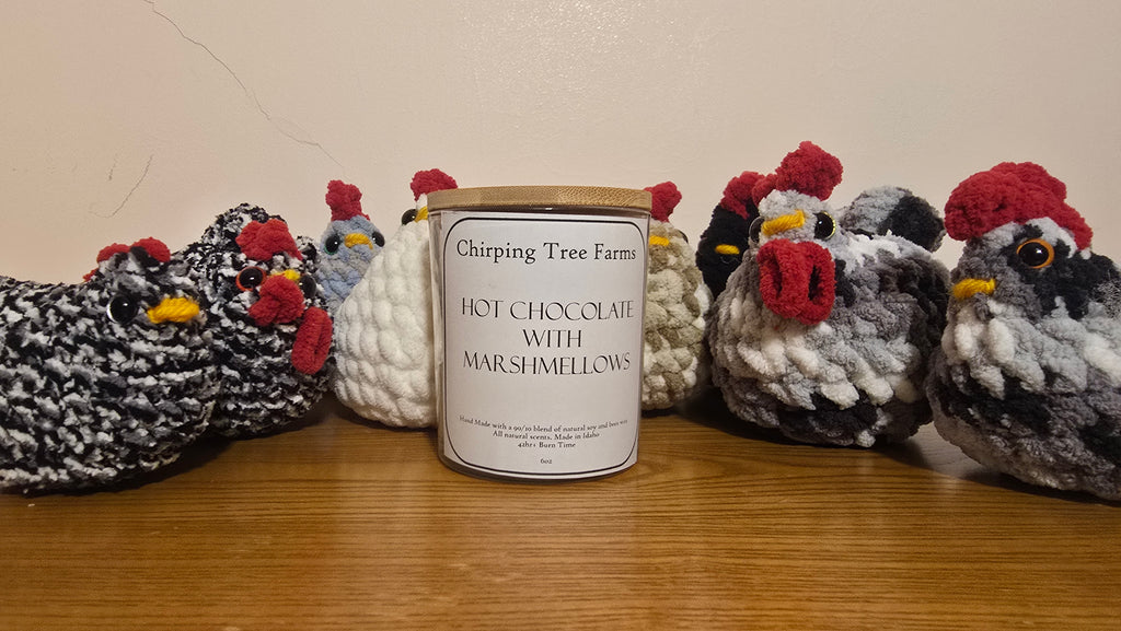 Wood Wick Jar Candle (6oz)