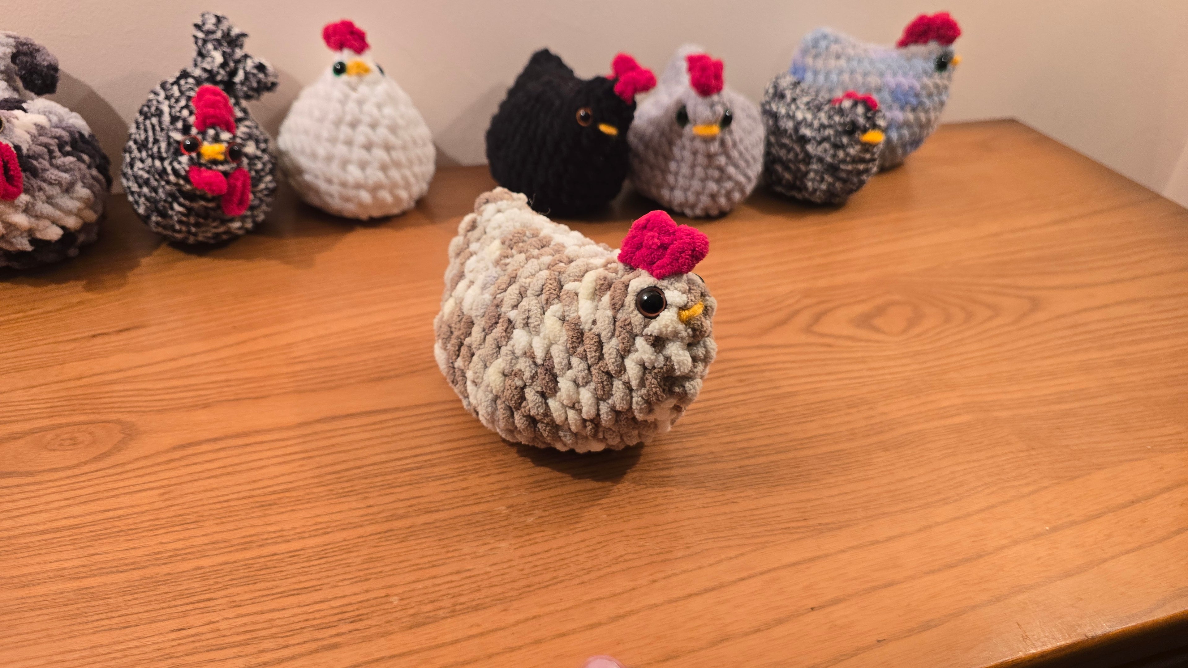 Chimkin Plush (ISA Brown)